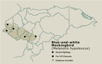 Blue-and-white Mockingbird Distribution Map