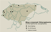 Blue-crowned Chlorophonia Distribution Map