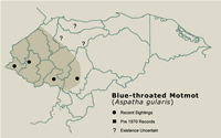 Blue-throated Motmot Distribution Map