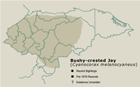 Bushy-crested Jay Distribution Map