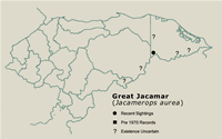 Great Jacamar Distribution Map