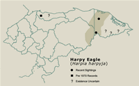 Harpy Eagle Distribution Map