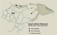 Keel-billed Motmot Distribution Map
