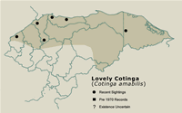 Lovely Cotinga Distribution Map