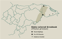 Slate-colored Grosbeak Distribution Map