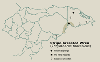 Stripe-breasted Wren Distribution Map