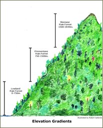 Elevation Gradients